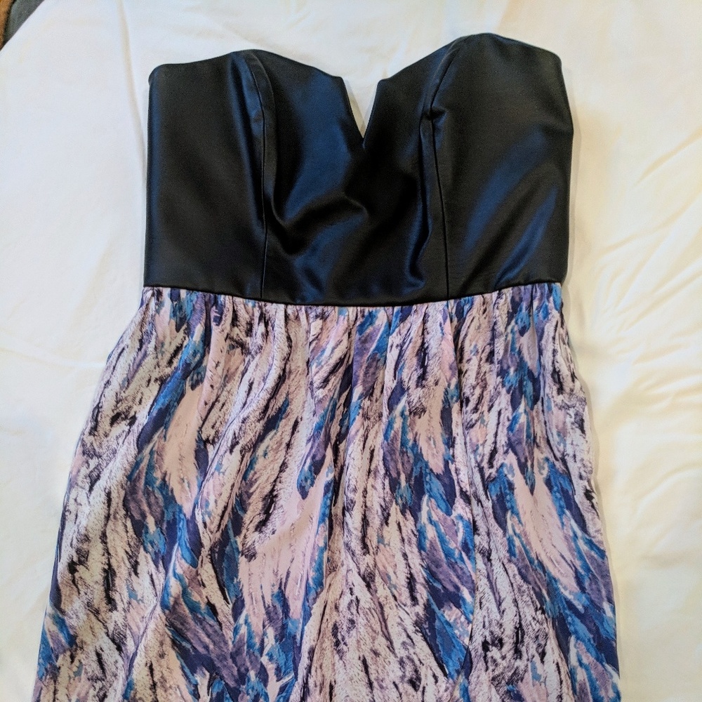 Ladakh Rococo Strapless Party Dress